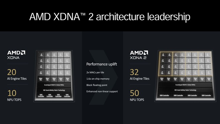 Vue d'ensemble d'AMD XDNA2 (source : AMD)