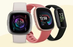 Google a commencé à rationaliser l&#039;application Fitbit en vue d&#039;y ajouter ultérieurement d&#039;autres fonctionnalités. (Source de l&#039;image : Fitbit)