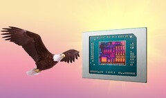 AMD Bald Eagle Point, s&#039;il n&#039;est pas abandonné, pourrait sortir l&#039;année prochaine. (Source de l&#039;image : AMD, FlashBuddy, édité)