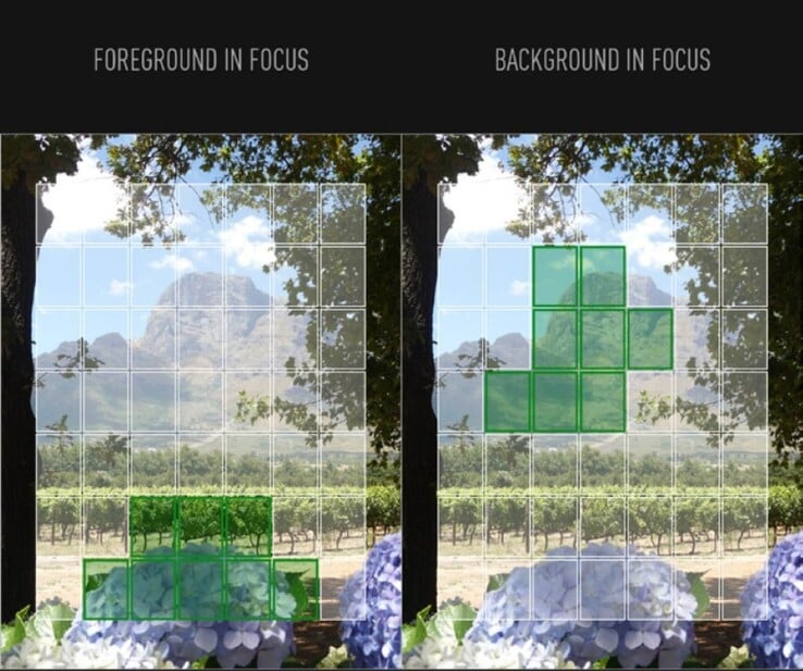 La fonction de sélection de la mise au point du Panasonic ZS99 permet aux photographes de refaire la mise au point après la prise de vue. (Source de l'image : Panasonic Japan)