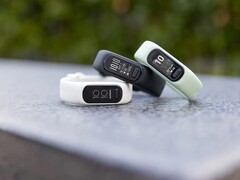 Garmin a publié une nouvelle mise à jour du firmware pour le Vivosmart 5. (Source de l&#039;image : Garmin)