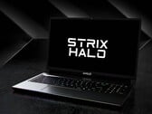 Le modèle AMD Ryzen AI Max Plus 395 rejoindra ses autres homologues Strix Halo au CES 2025 (source d'image : AMD, édité)