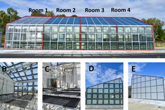 Quatre pièces séparées avec différents degrés de couverture par des panneaux solaires transparents ont été utilisées. (Source de l&#039;image : Université Murdoch)