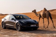 Outre la populaire Tesla Model Y, la Model 3 a également été testée dans des conditions extrêmement chaudes (Image : Tesla)