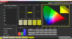 Saturation CalMAN (profil : Display P3, espace couleur cible : P3)