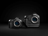 Canon EOS R5 Mark II (à gauche) et le R1 (à droite) (Source : Canon)
