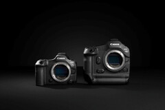 Canon EOS R5 Mark II (à gauche) et le R1 (à droite) (Source : Canon)