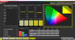 Saturation CalMAN calibrée (espace couleur cible : P3)