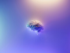 Nano-MIND utilise de minuscules particules magnétiques injectées dans des régions spécifiques du cerveau. (Source de l&#039;image : Milad Fakurian / Unsplash)