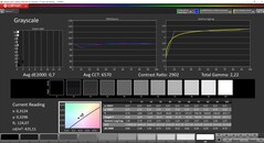 CalMAN niveaux de gris calibrés