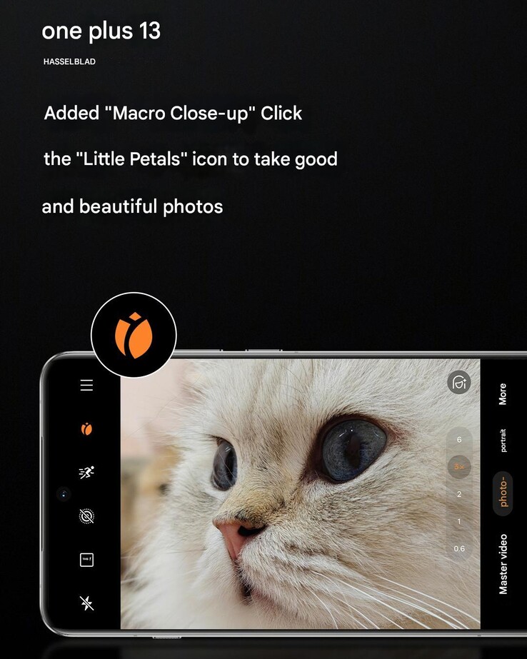 La fonction "macro close-up" (Image source : OnePlus - machine translated)