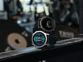 Garmin a apporté plus de 100 corrections de bugs aux Enduro 3, Fenix E et Fenix 8 depuis leur sortie en été. (Source de l'image : Garmin)