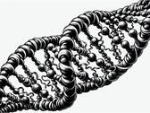 Une nouvelle technique de stockage de l'ADN utilise l'"impression" épigénétique pour augmenter la vitesse et réduire les coûts (Source de l'image : DALL-E 3)