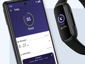 Le futur Fitbit AI Sleep Lab pourrait s'ajouter aux fonctions de suivi du sommeil basées sur les applications existantes (ci-dessus). (Source de l'image : Fitbit)