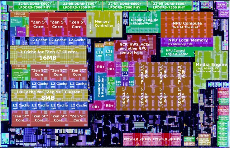 L'APU Strix Point d'AMD est une puce très impressionnante, mais aussi très chère. La présence de cœurs Zen 5 et Zen 5C, d'un iGPU puissant et d'un NPU en font un processeur très volumineux. (Source de l'image : Nemez)