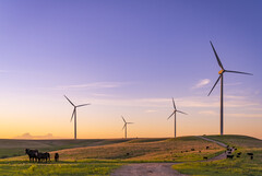 Parc éolien Smokey Hills d&#039;Enel. Photo de référence. (Source de l&#039;image : Enel)