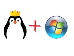 Source de l&#039;image : Kinguin.net, Microsoft avec modifications