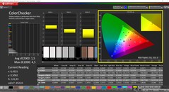 CalMAN ColorChecker (Profil : sRGB, Espace couleur : sRGB)