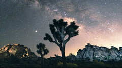 Starlink affirme que le signal de son satellite n'interférera pas (image : SpaceX)