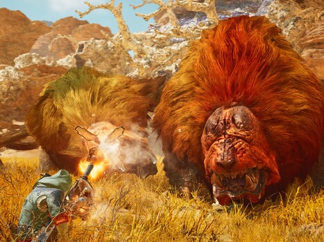 Combat dans le désert de Monster Hunter Wilds (Image source : Steam)