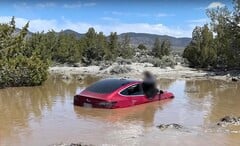 La FSD de Tesla a conduit cette Model 3 particulière dans une tombe aquatique. (Source de l&#039;image : Wham Baam Teslacam sur YouTube)