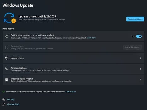 Windows Update 24H2 Paused (Image Source : Screenshot)
