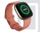 Les utilisateurs de la smartwatch Fitbit Sense et Versa 3 affirment qu'une nouvelle mise à jour a affecté l'autonomie de la batterie. (Source : Fitbit)