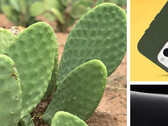 Les cactus : maintenant pour la protection des smartphones. (Source : Otterbox)