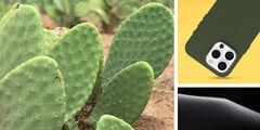 Les cactus : maintenant pour la protection des smartphones. (Source : Otterbox)