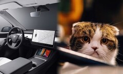 L'intérieur des voitures est en train de changer, principalement pour le pire. (Source de l'image : Tesla/Unsplash)