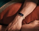 Le Xiaomi Smart Band 9 a été officiellement lancé. (Source de l'image : Xiaomi)