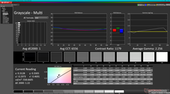 Niveaux de gris avant calibration (vs. P3)