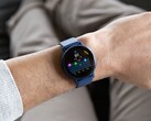 Les smartwatches Garmin Venu 3 (ci-dessus) et vivoactive 5 font l'objet d'une mise à jour. (Source de l'image : Garmin)