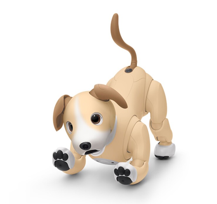 L'Aibo Kinako Edition est un modèle en édition limitée pour 2024, disponible uniquement jusqu'à épuisement des stocks. (Source de l'image : Sony)