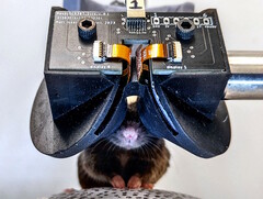 Des chercheurs de l&#039;université Cornell créent le prototype du casque de RV 3D MouseGoggles Duo pour souris. (Source de l&#039;image : Université de Cornell)