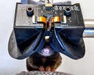 Des chercheurs de l'université Cornell créent le prototype du casque de RV 3D MouseGoggles Duo pour souris. (Source de l'image : Université de Cornell)