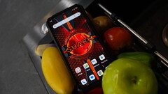 Le requin 3. (Source de l'image : 8849)