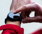 Une nouvelle mise à jour bêta est arrivée pour la smartwatch Garmin Forerunner 955. (Source de l'image : Garmin)