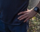 Garmin a publié la version 20.29 du logiciel pour la Forerunner 255. (Source de l'image : Garmin)