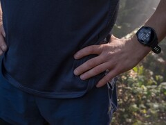 Garmin a publié la version 20.29 du logiciel pour la Forerunner 255. (Source de l&#039;image : Garmin)