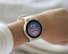 Une nouvelle mise à jour bêta est disponible pour les appareils Garmin Vivoactive 5 (ci-dessus) et Venu 3. (Source de l'image : Garmin)