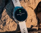 La prochaine mise à jour stable de Garmin pour la Fenix 8 et les autres devrait être majeure. (Source de l'image : Garmin)