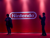 Selon Nintendo, "l'introduction d'émulateurs créés pour jouer des logiciels Nintendo copiés illégalement représente la plus grande menace à ce jour pour les droits de propriété intellectuelle des développeurs de jeux vidéo". (Source de l'image : Nintendo)