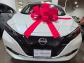 La Nissan Leaf. Une femme victime d'abus raciaux a reçu un véhicule électrique en cadeau et ne changera plus jamais d'huile (Source : Makayla Starks)