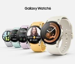 Fuites de rendus de la Galaxy Watch6 (Source : EvLeaks)