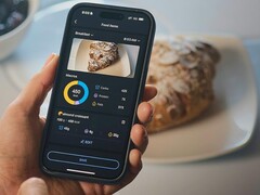 Le journal alimentaire de l&#039;application Zepp est arrivé en Europe. (Source de l&#039;image : Amazfit)