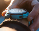 La Forerunner 265 a reçu sa première mise à jour depuis le printemps. (Source de l'image : Garmin)