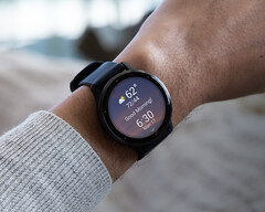 Garmin n&#039;a pas encore indiqué quand les mises à jour de la v11 atteindront le statut stable. (Source de l&#039;image : Garmin)