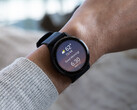 Garmin n'a pas encore indiqué quand les mises à jour de la v11 atteindront le statut stable. (Source de l'image : Garmin)