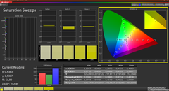 Saturation (cal, ICD P3)